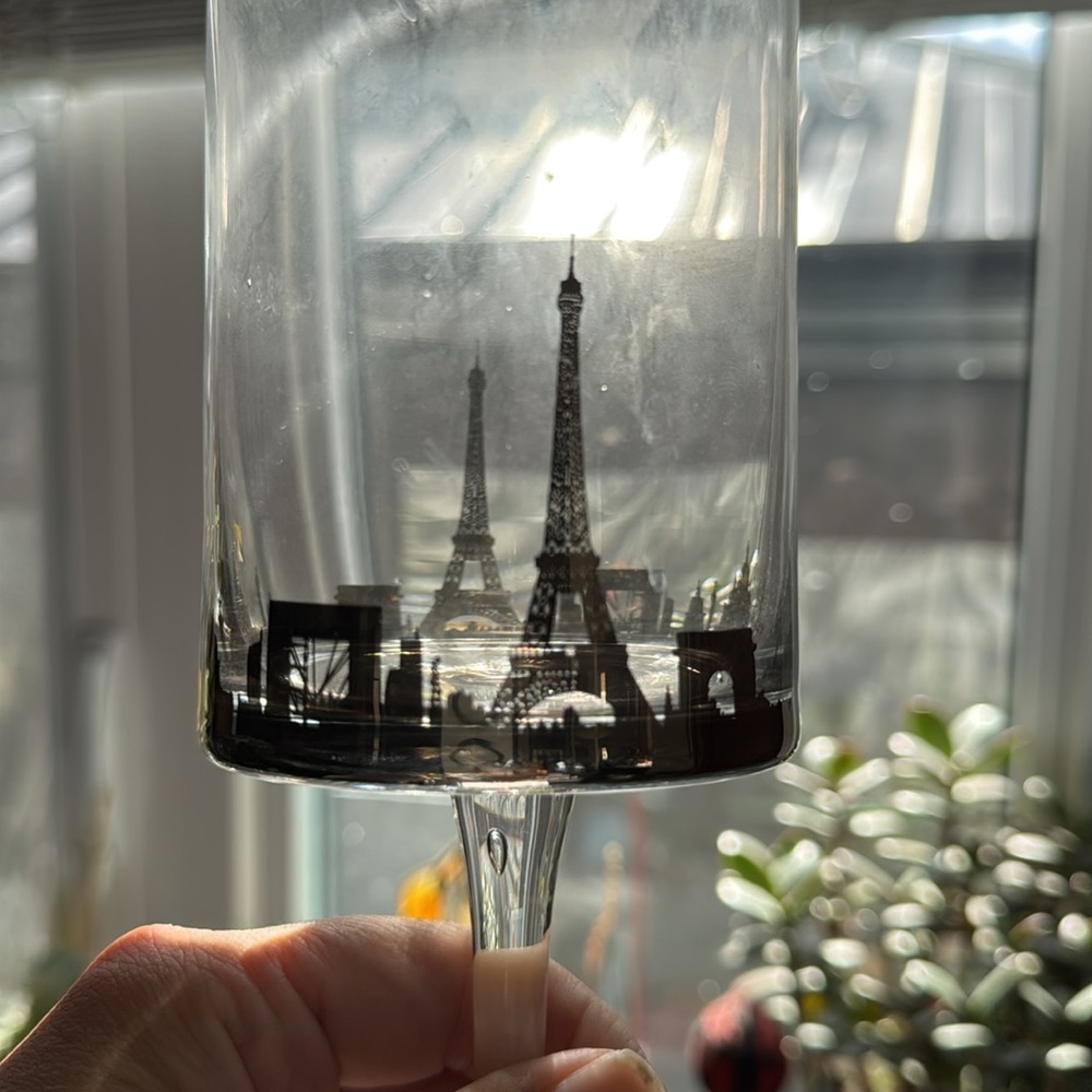 Elegant Paris Silver Rim Wine/champagne Glass Set
